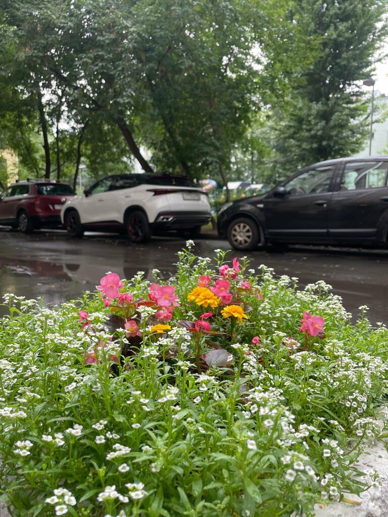 Салон красоты Леал клуб