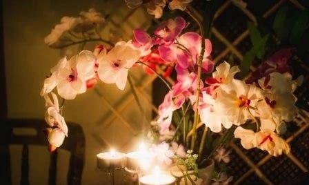 Салон красоты Спа салон Самуи Спа